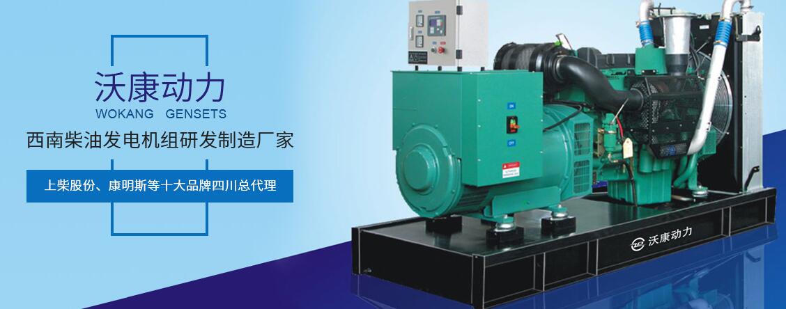 上柴柴油發(fā)電機(jī)