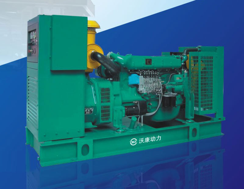 四川柴油發(fā)電機(jī)廠(chǎng)家